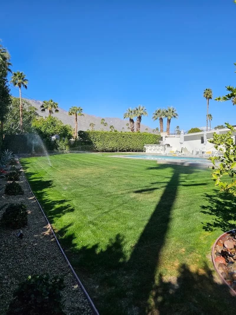 A picture of a gorgeous lawn that has had grass added to it, with lots of nice foliage and rocks along the perimeter of the lawn.