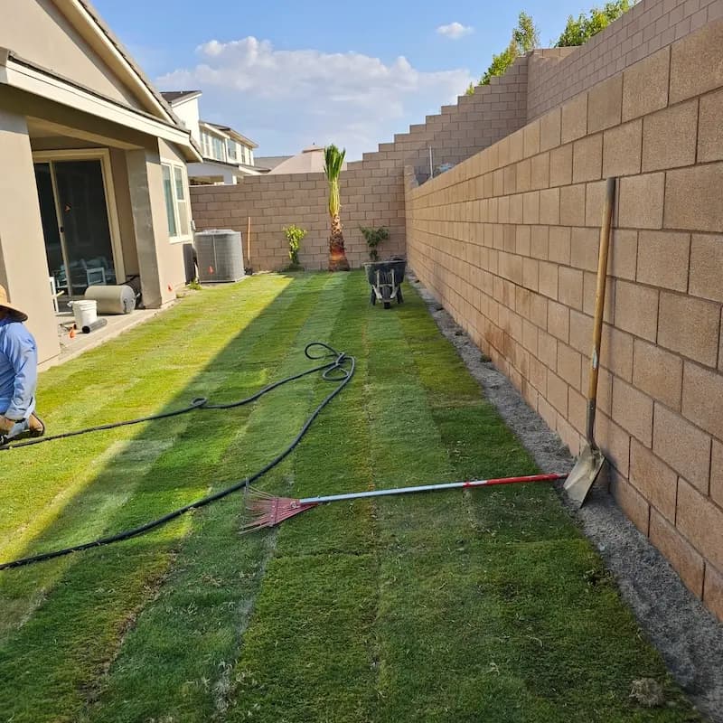 A picture of the side of a house with grass having just been planted.